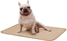 2 Pack Pee Pads for Mat,Bed/Dog Car Mat,4 Layers Design with Anti-Skid Bottom freeshipping - CamperGear X